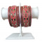 Lakh Bangles Set(LKS04)